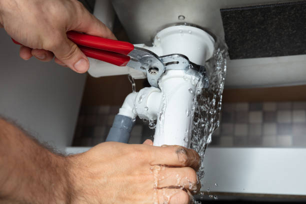 Best Professional water damage repair  in Trenton, FL