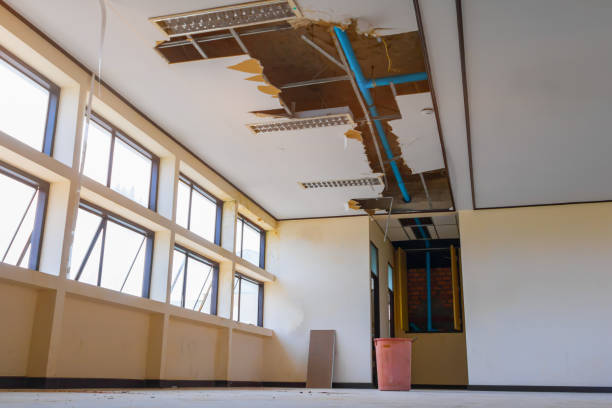 Best Basement water damage restoration  in Trenton, FL