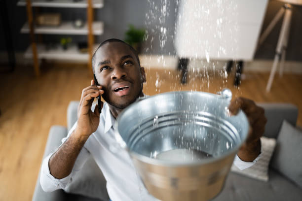  Trenton, FL Water damage restoration Pros