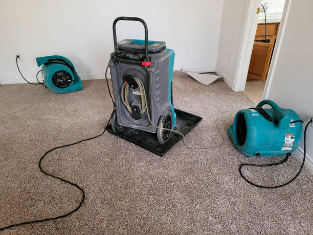 Best Water damage restoration near me  in Trenton, FL