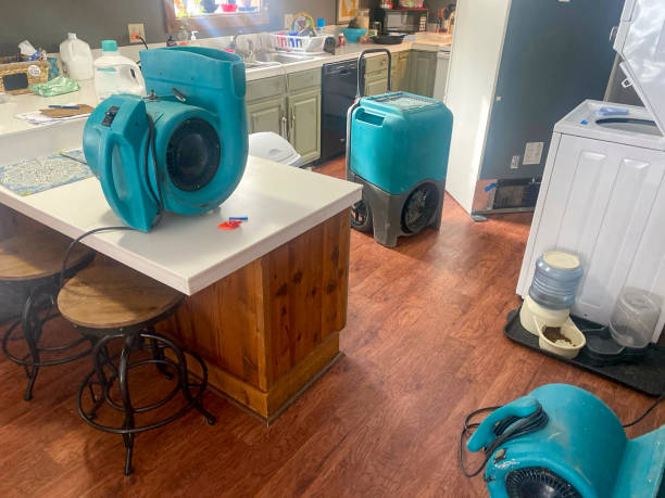 Best Ceiling water damage repair  in Trenton, FL