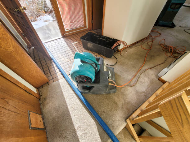 Best 24-hour water damage restoration  in Trenton, FL