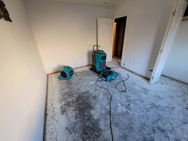 Best Fire Damage Restoration  in Trenton, FL