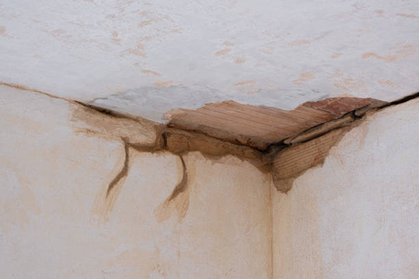 Best Commercial water damage restoration  in Trenton, FL