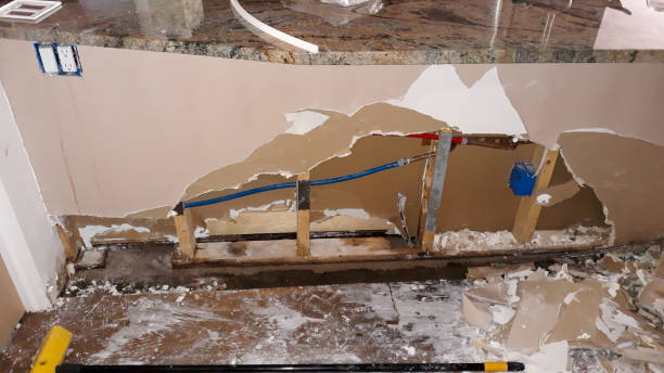Best Local water damage restoration  in Trenton, FL