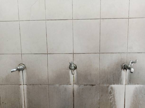 Best Water damage contractors near me  in Trenton, FL