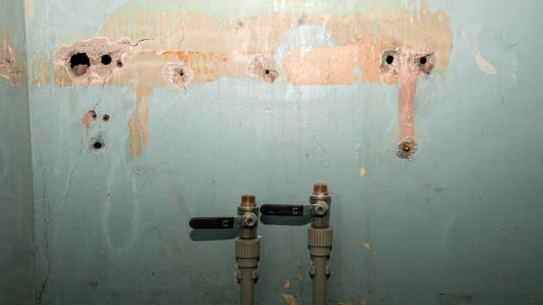 Best Water damage restoration mold remediation  in Trenton, FL