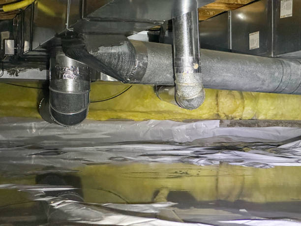 Water damage restoration mold remediation in Trenton, FL