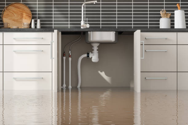 Best Flooded house restoration  in Trenton, FL