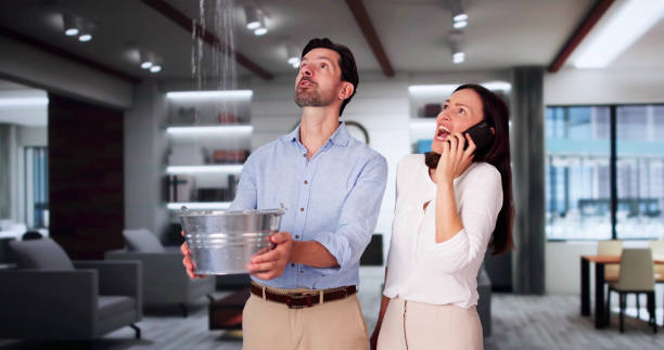 Best Water damage cleanup near me  in Trenton, FL