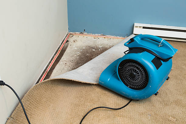Trenton, FL Water damage restoration Company